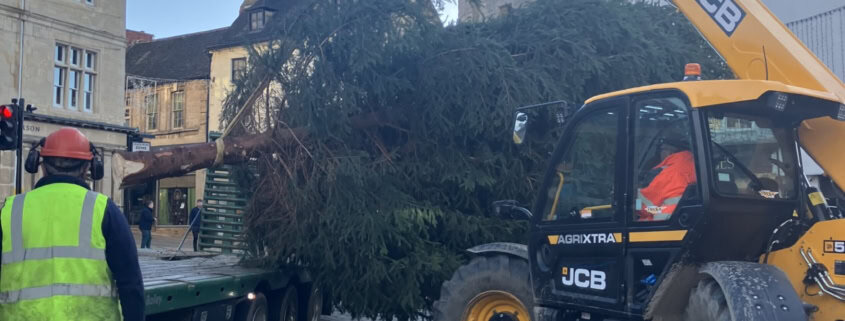 A yellow JCB telehandler is lifting a large fir tree onto a flatbed truck in a cobbled town square, as a worker looks on. A historic church is visible in the background.